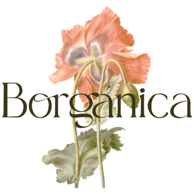 BORGANICA_Logo-_Principal-negro-01-768x636-1-1.png